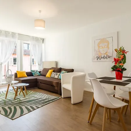Travel Homes -the Ecolier, 1min From Little Venice Colmar