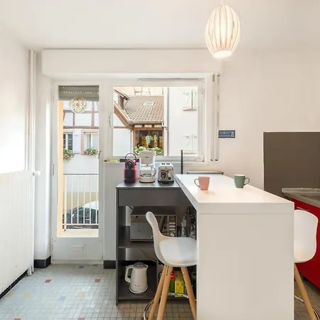 Travel Homes -the Ecolier, 1min From Little Venice * 科尔马